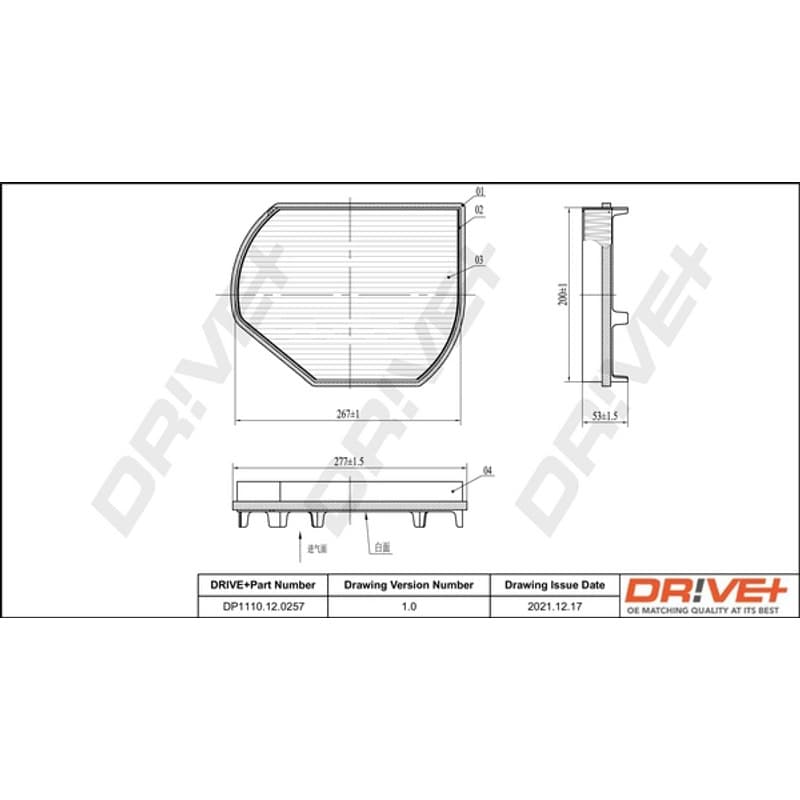 DRVE filtras, salono oras DP1110.12.0257