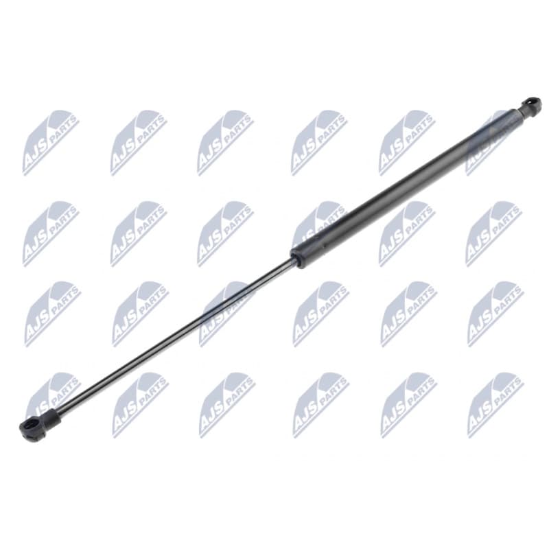 NTY dujinė spyruoklė, gaubtas AE-CT-022