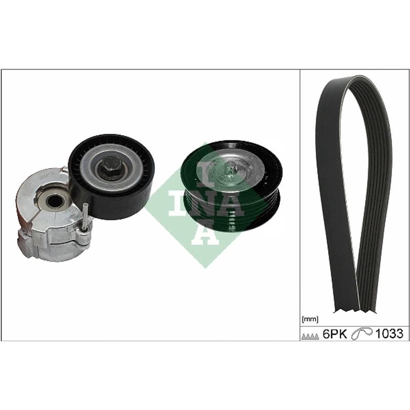 SCHAEFFLERINA V formos rumbuotas diržas, komplektas 529 0418 10