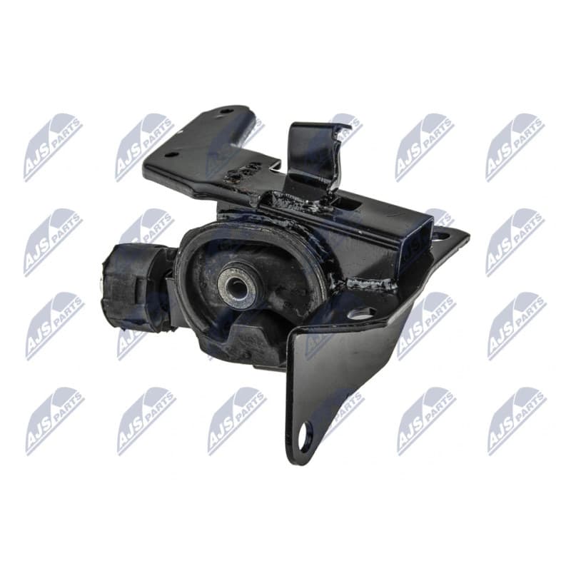 NTY variklio montavimas ZPS-TY-165