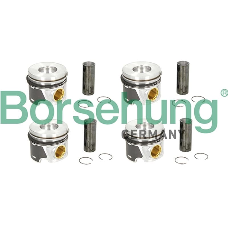 BORSEHUNG stūmoklis B19303