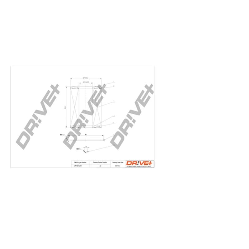 DRVE alyvos filtras DP1110.11.0101