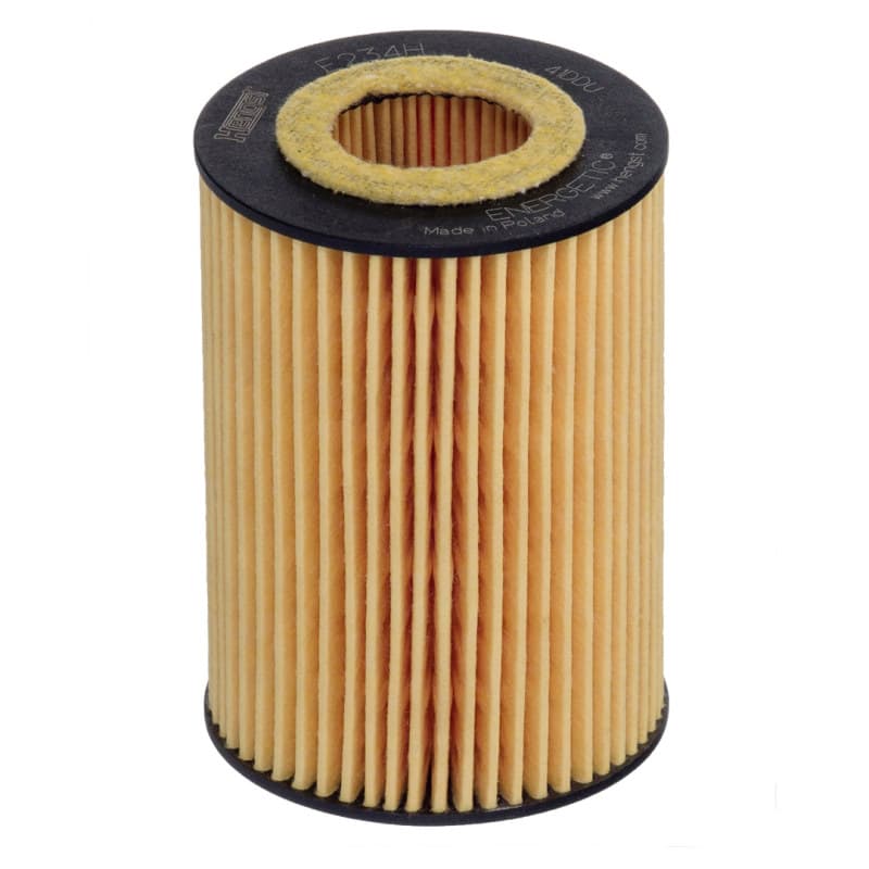 HENGSTFILTER Alyvos filtras E234H D290
