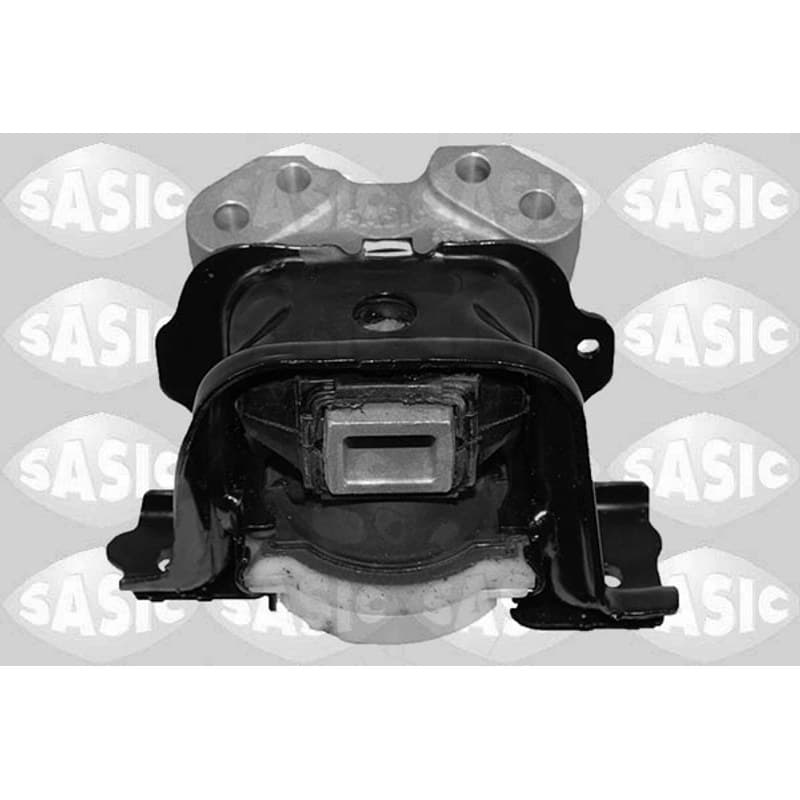 SASIC variklio montavimas 2700046