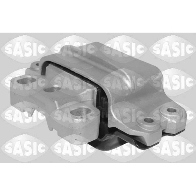 SASIC variklio montavimas 2706499