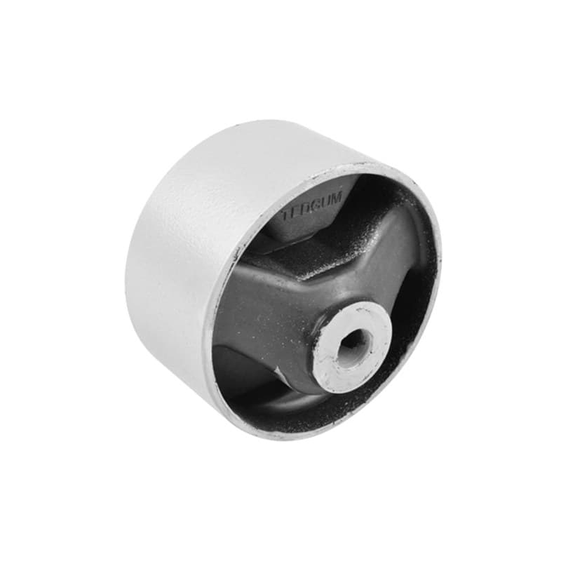 TEDGUM variklio montavimas 00674330