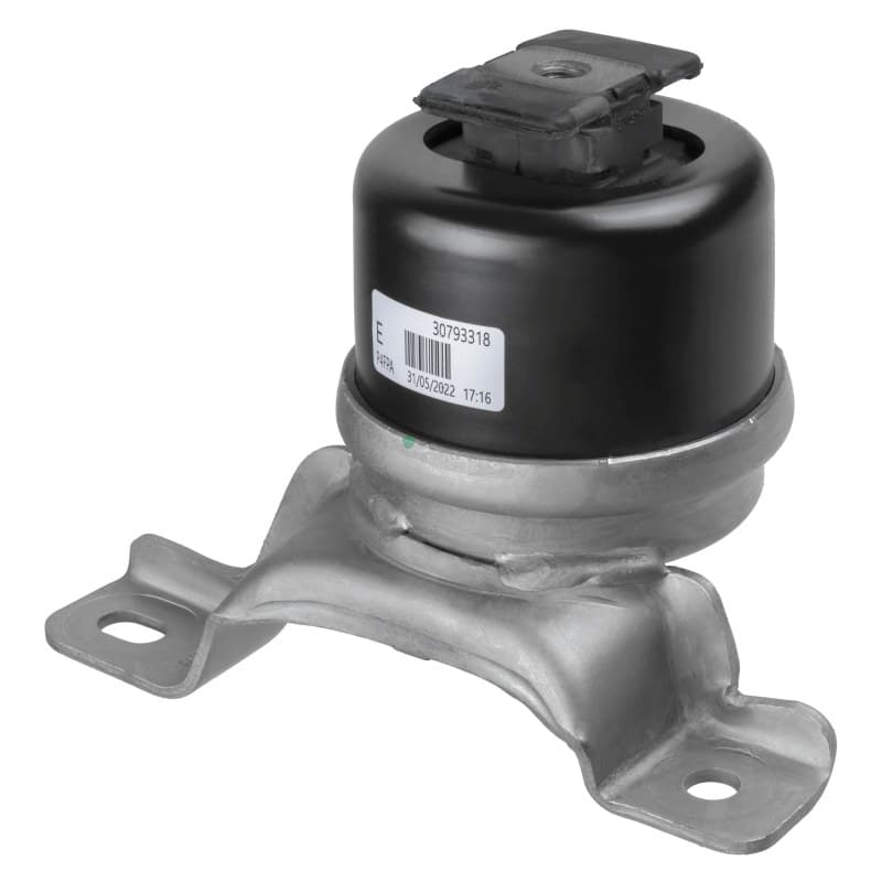 LEMFRDER variklio montavimas 44741 01