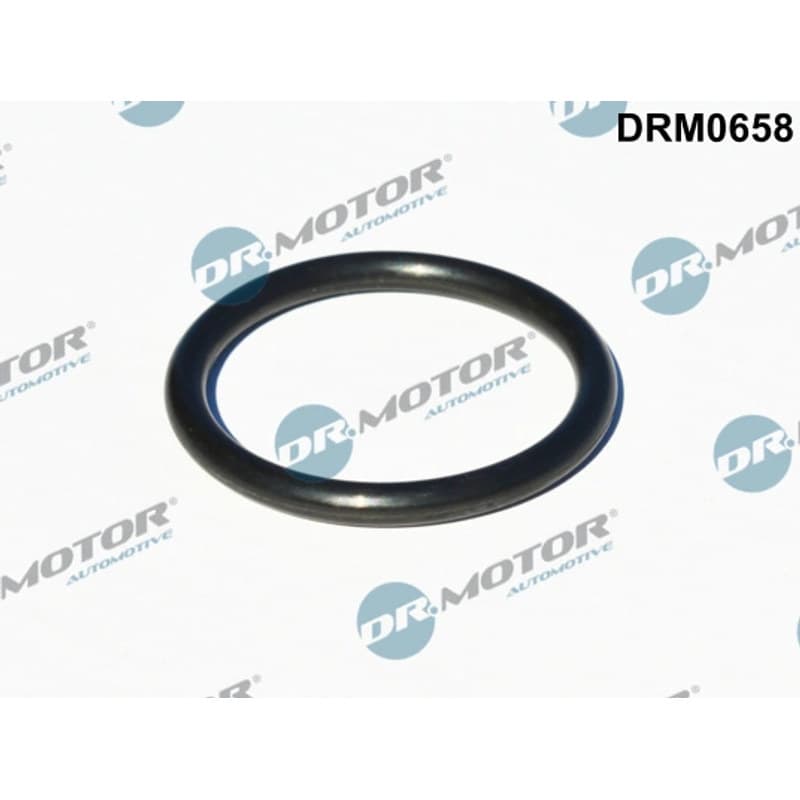 DRMOTORAUTOMOTIVE tarpiklis, turbinos įvadas (piltuvas) DRM0658