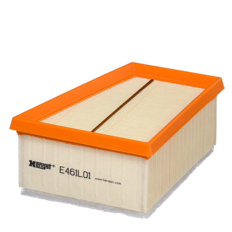 HENGSTFILTER Oro filtras E461L01