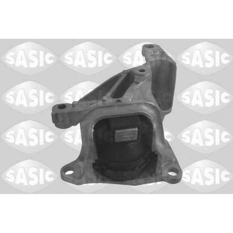 SASIC variklio montavimas 2704068