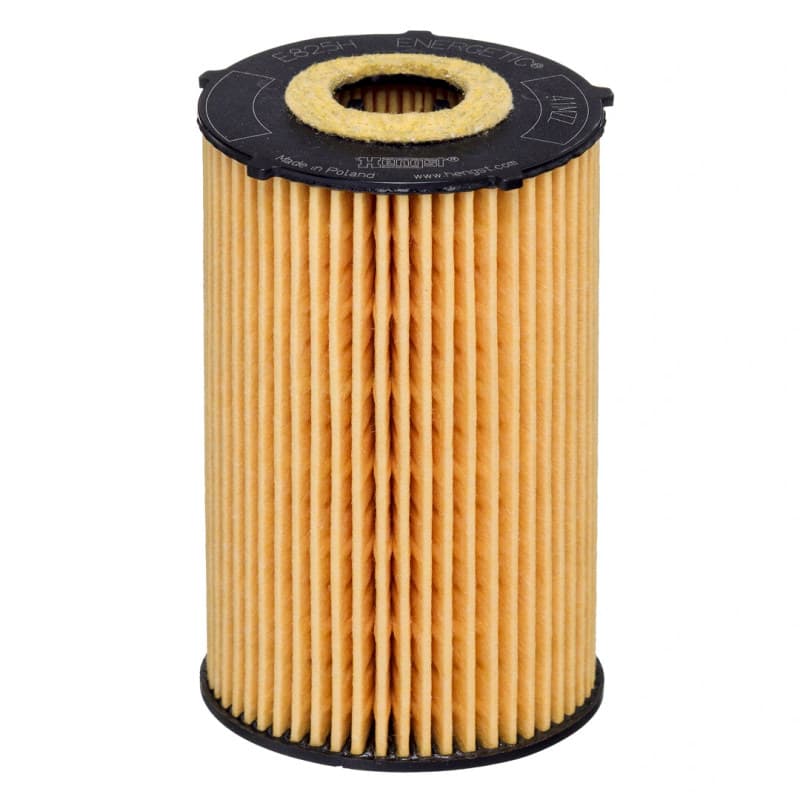 HENGSTFILTER Alyvos filtras E825H D265