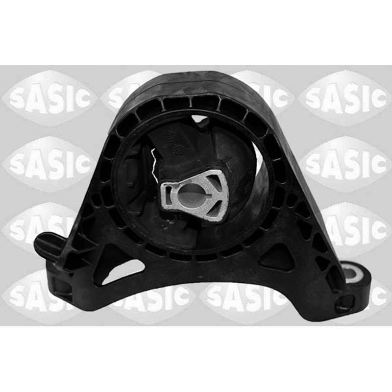 SASIC variklio montavimas 2706325
