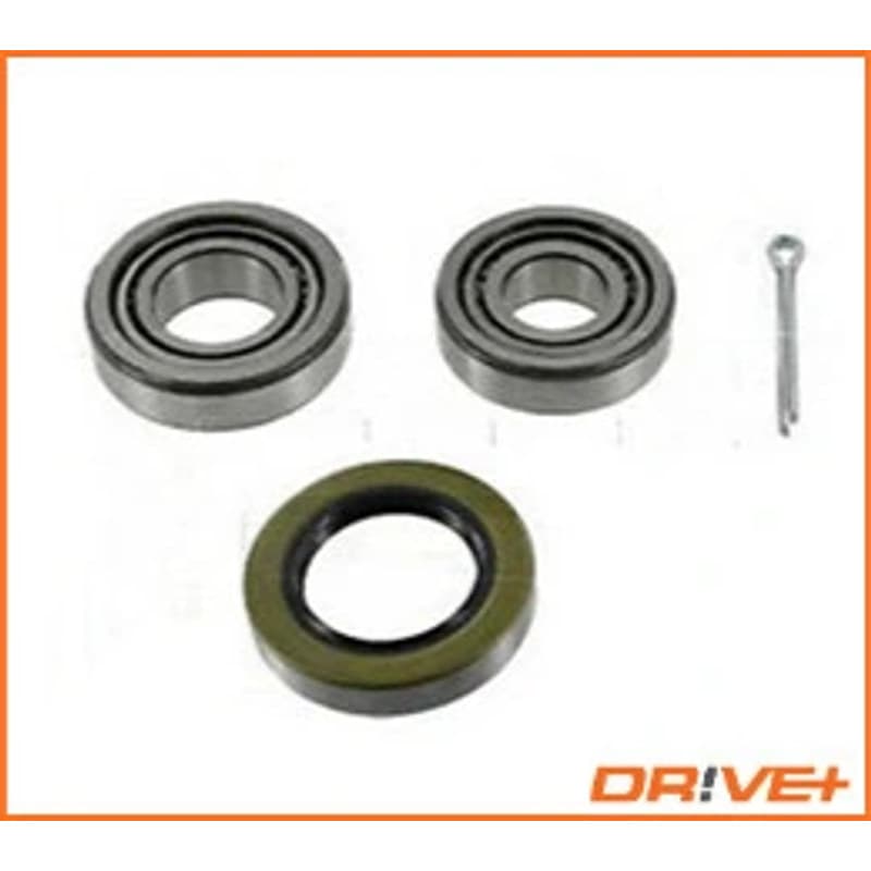 DRVE DP2010.10.0202 rato guolio komplektas