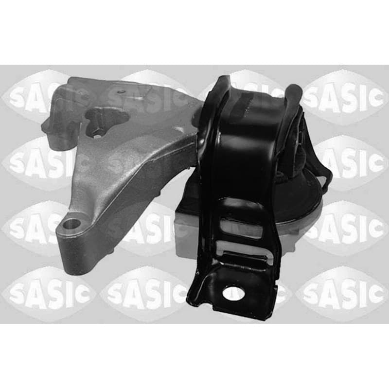 SASIC variklio montavimas 2704093