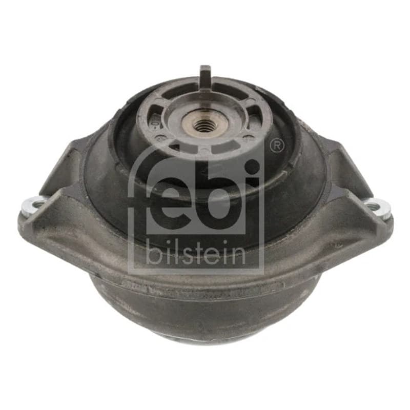 FEBIBILSTEIN variklio montavimas 07960