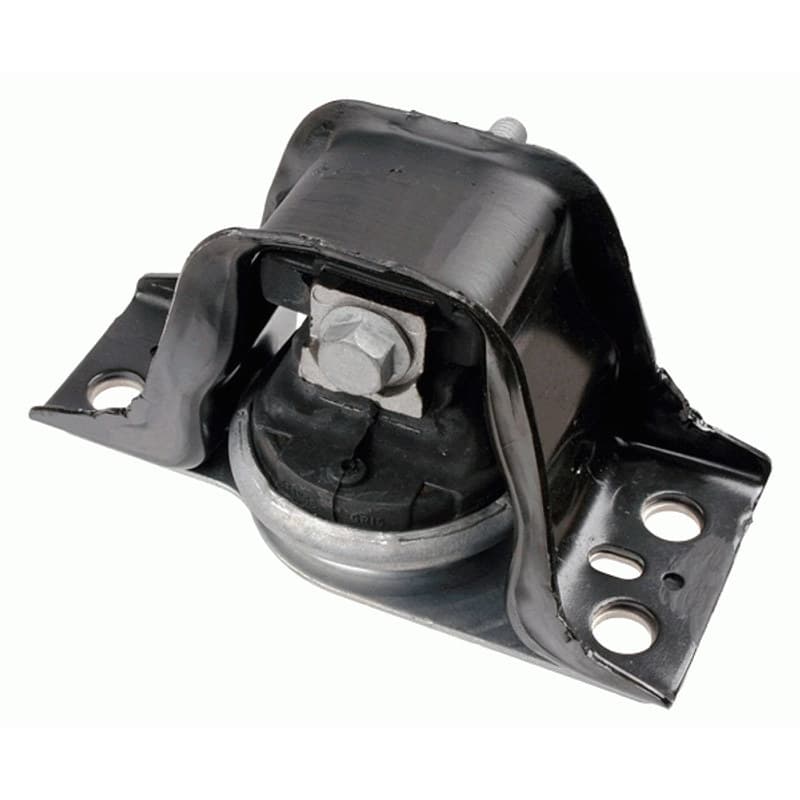 LEMFRDER variklio montavimas 37461 01