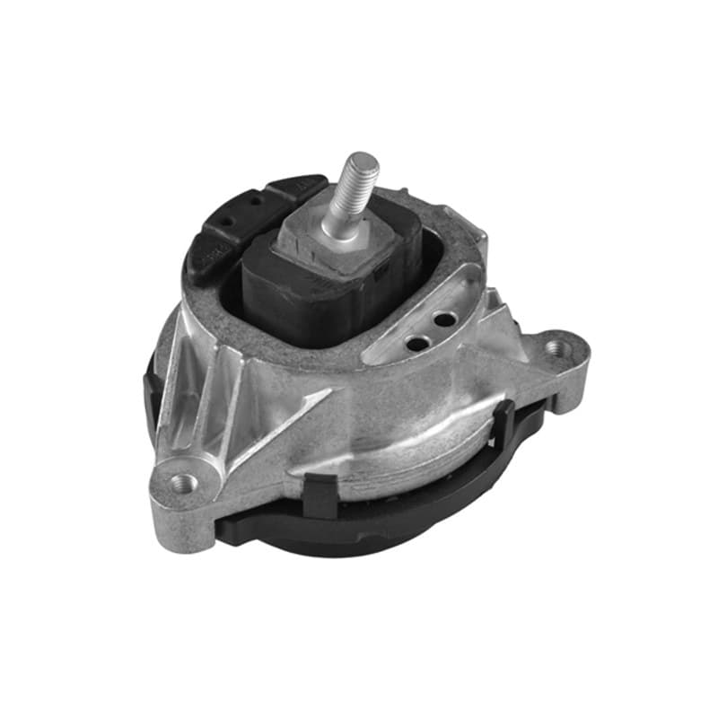 TEDGUM variklio montavimas TED24378