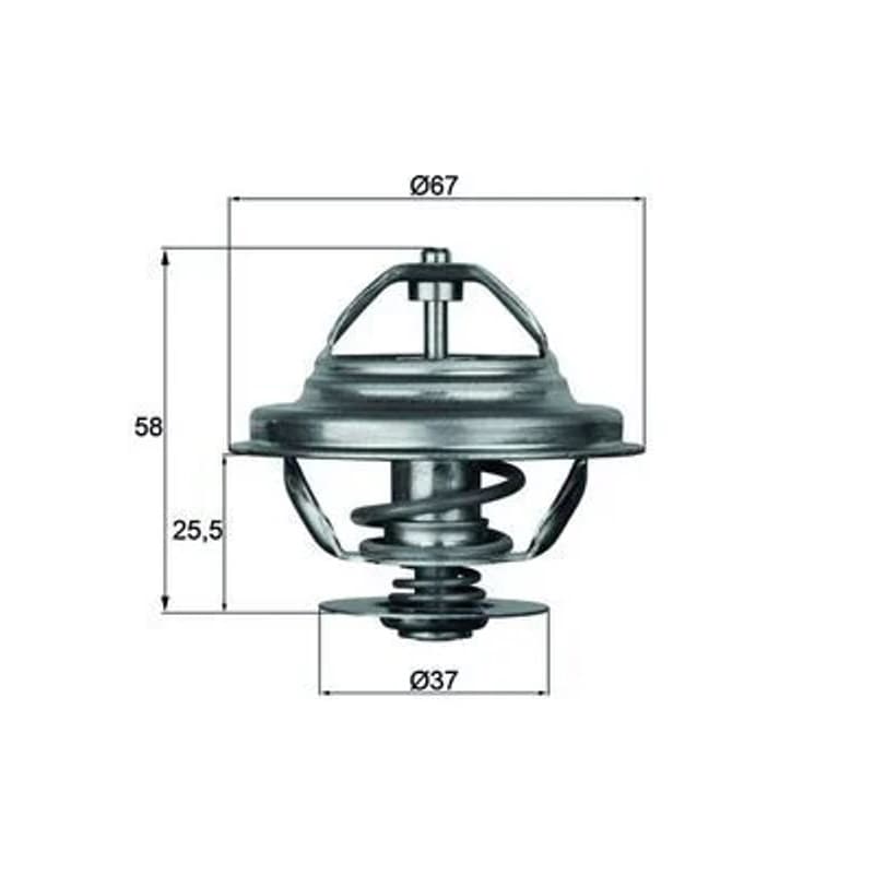 MAHLE TX 21 80D termostatas, aušinimo skystis
