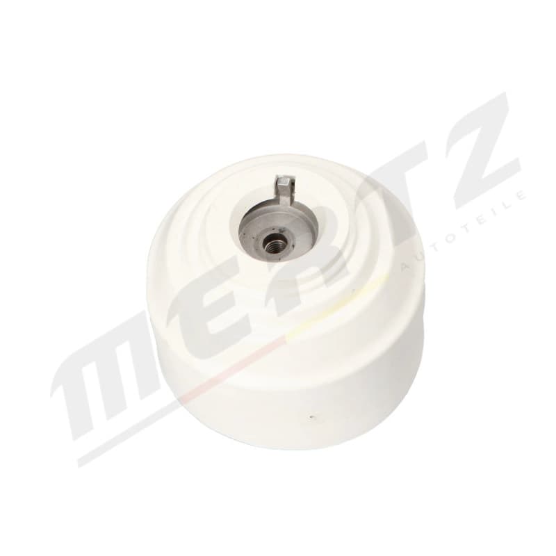MERTZ variklio montavimas M-S4775