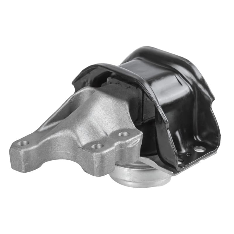 LEMFRDER variklio montavimas 44065 01