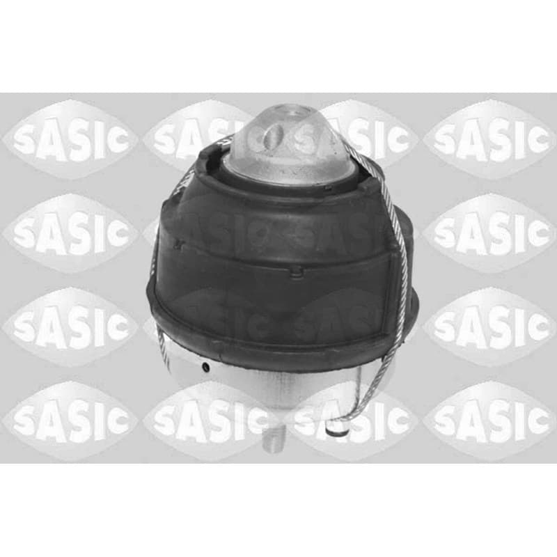SASIC variklio montavimas 2706614