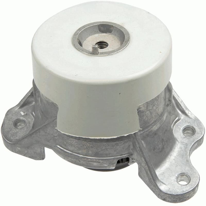 LEMFRDER variklio montavimas 39539 01