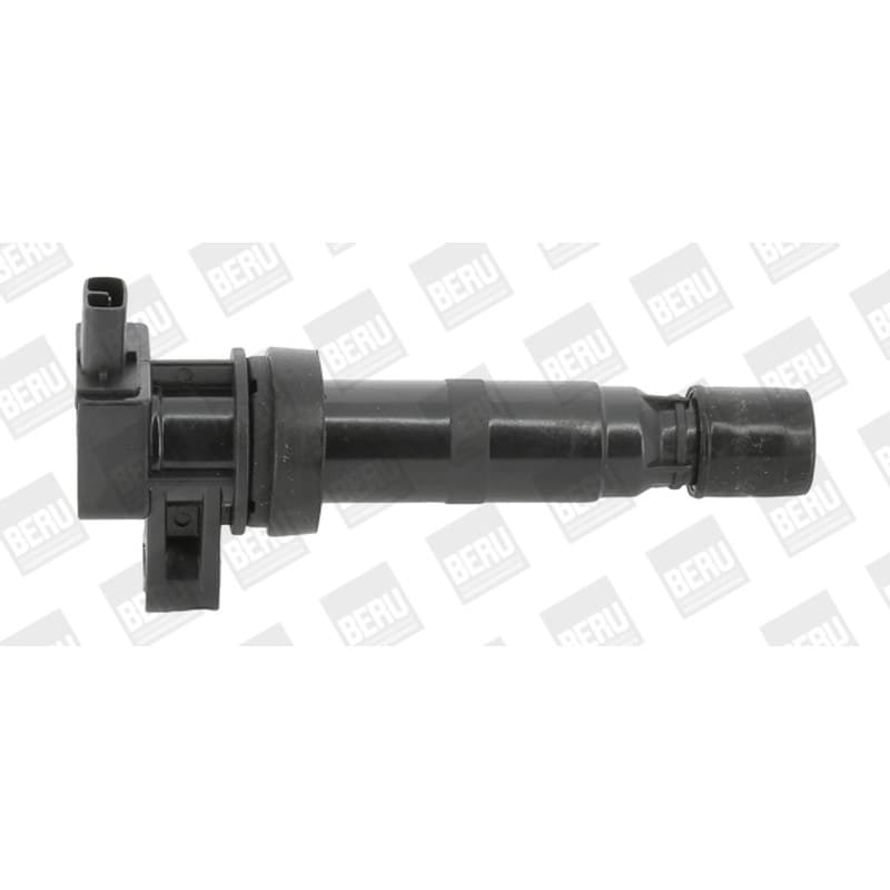 BORGWARNERBERU ritė, uždegimas ZS531