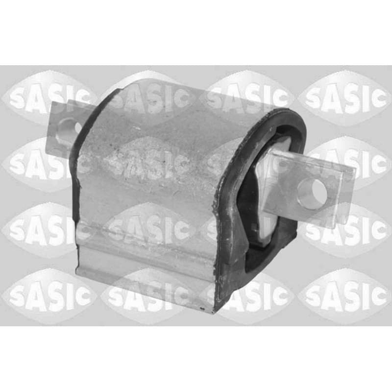 SASIC variklio montavimas 2700241