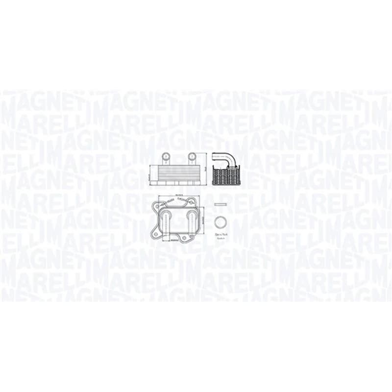 MAGNETIMARELLI alyvos aušintuvas, variklio alyva 350300002000