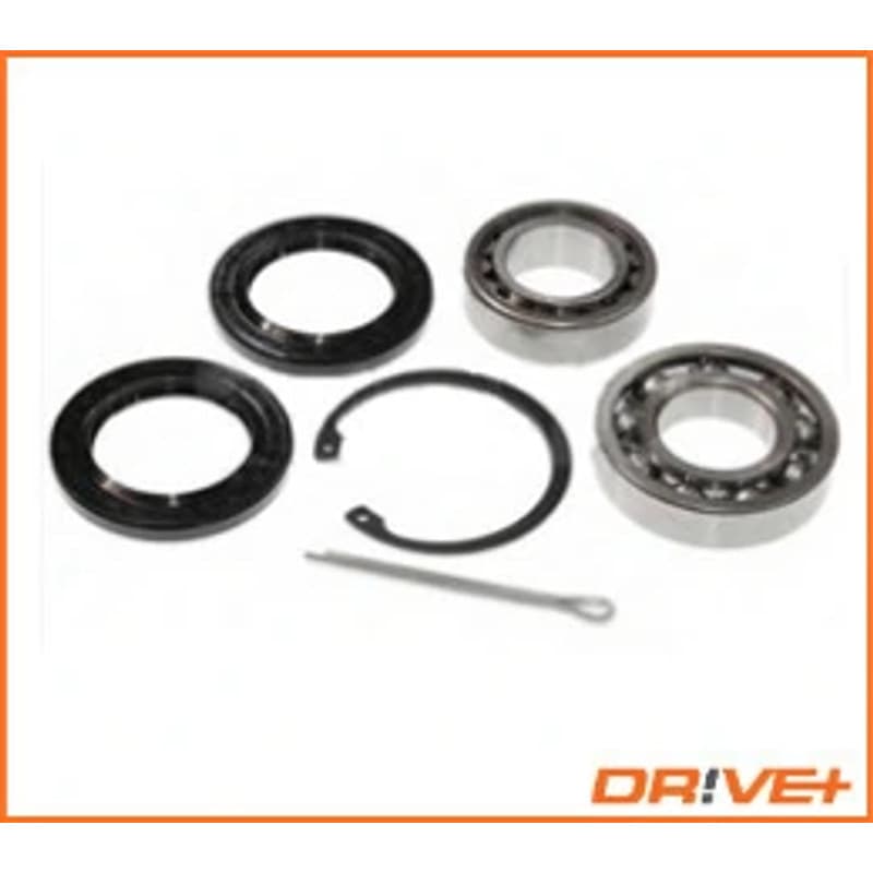 DRVE rato guolio komplektas DP2010.10.0207