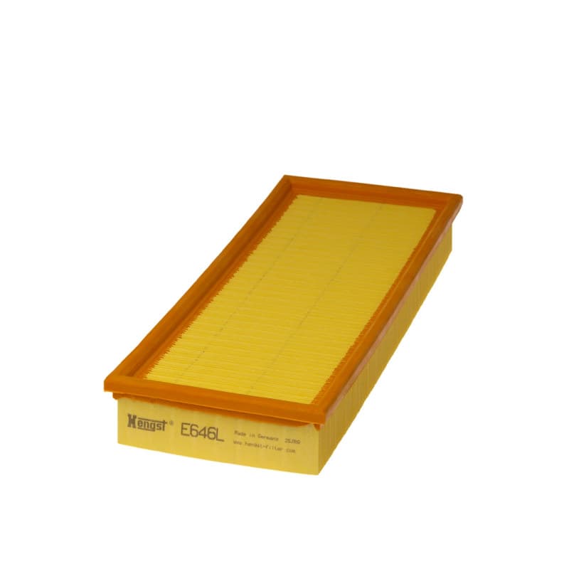 HENGSTFILTER Oro filtras E646L