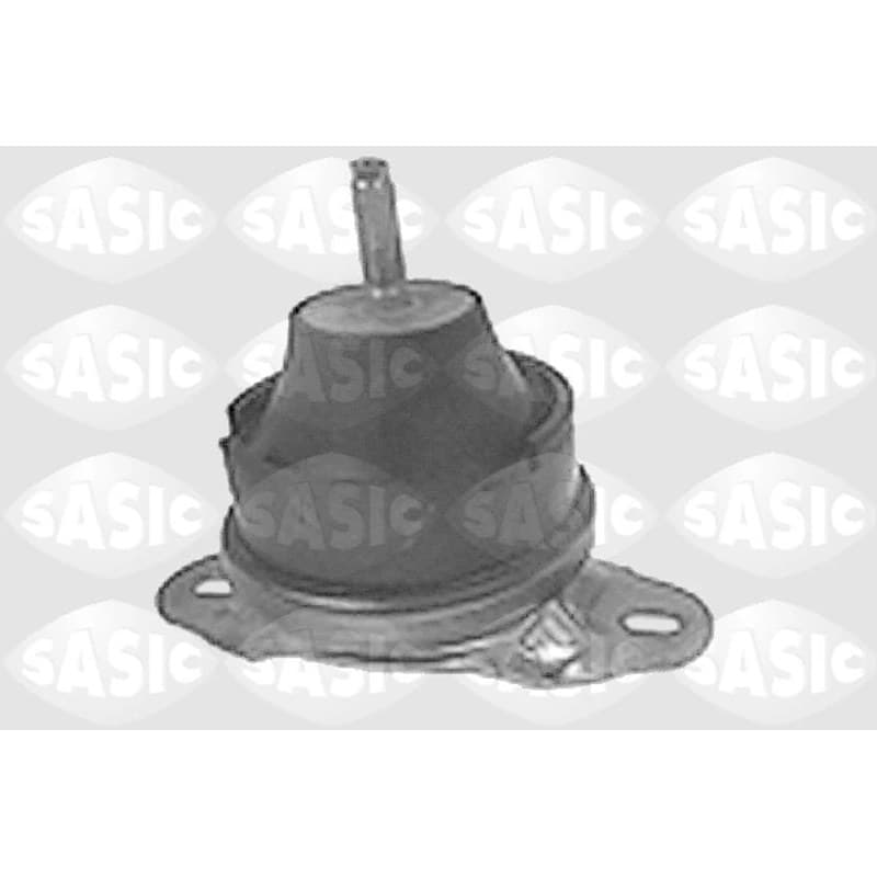 SASIC variklio montavimas 8441911