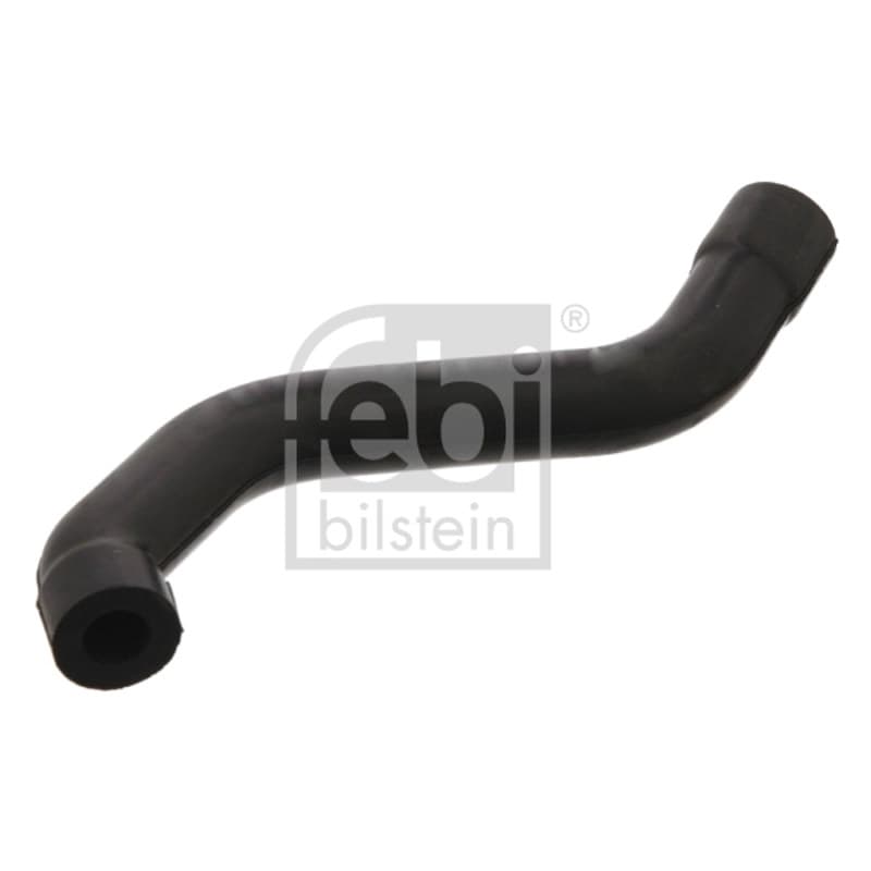 FEBIBILSTEIN žarna, karterio alsuoklis 33851
