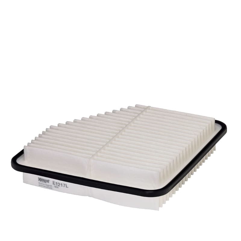 HENGSTFILTER Oro filtras E1217L