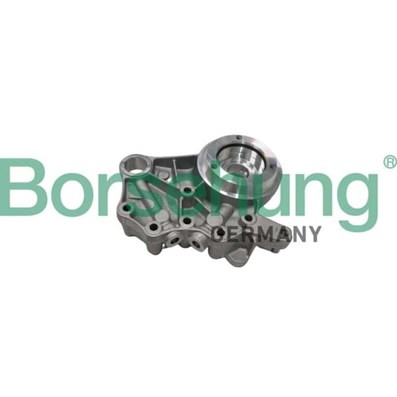 BORSEHUNG skirstomojo veleno įvorės B19307