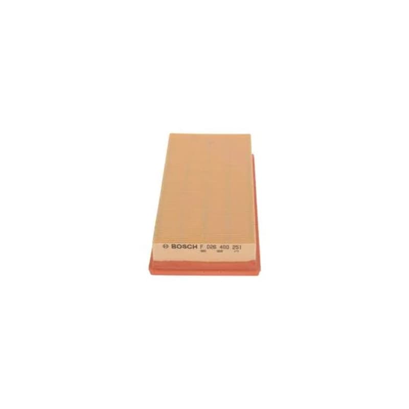 BOSCH F 026 400 251 oro filtras