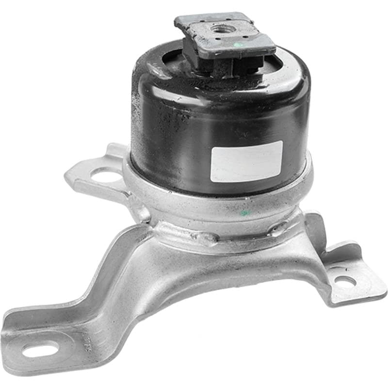 LEMFRDER variklio montavimas 42074 01
