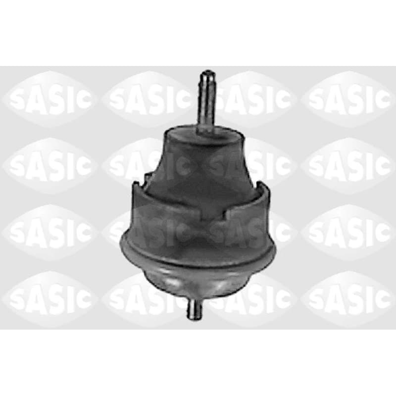 SASIC variklio montavimas 8441751