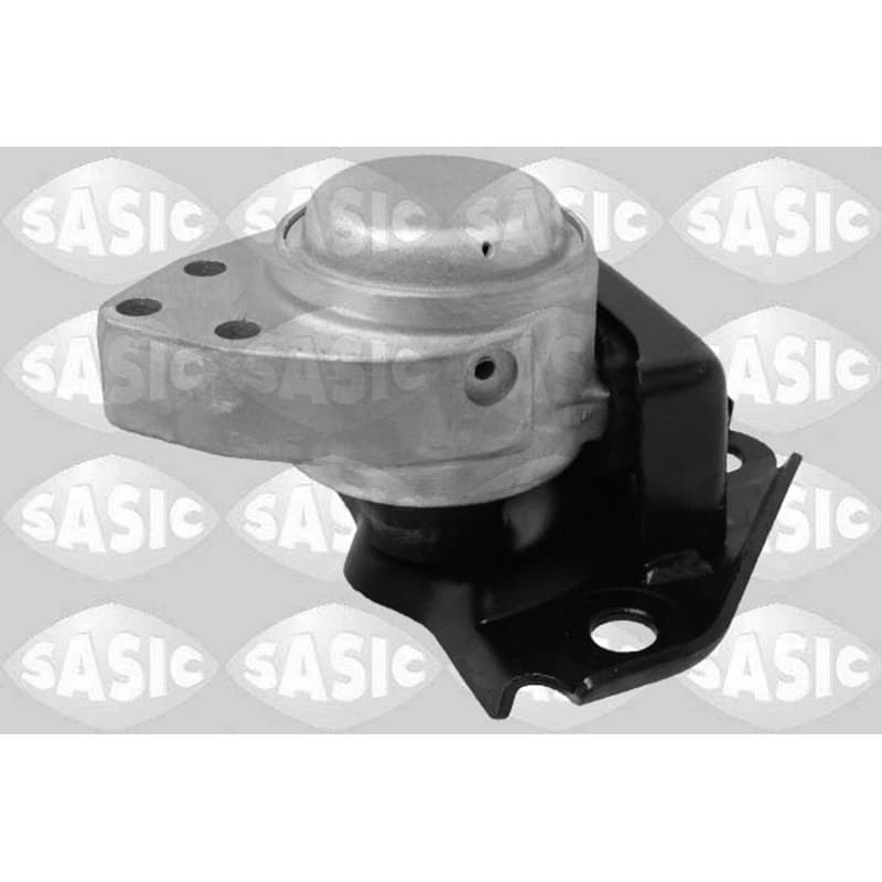 SASIC variklio montavimas 2706322