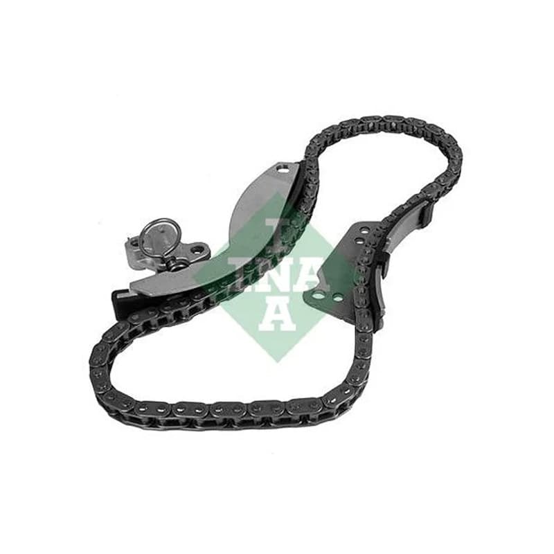 SCHAEFFLERINA paskirstymo grandinės komplektas 559 1866 20
