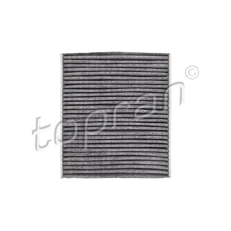 TOPRAN 302 078 filtras, salono oras