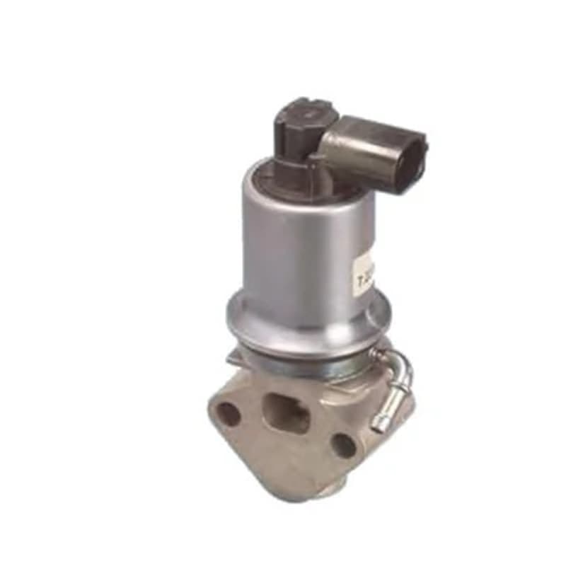 MAGNETIMARELLI ERG vožtuvas 571822112013