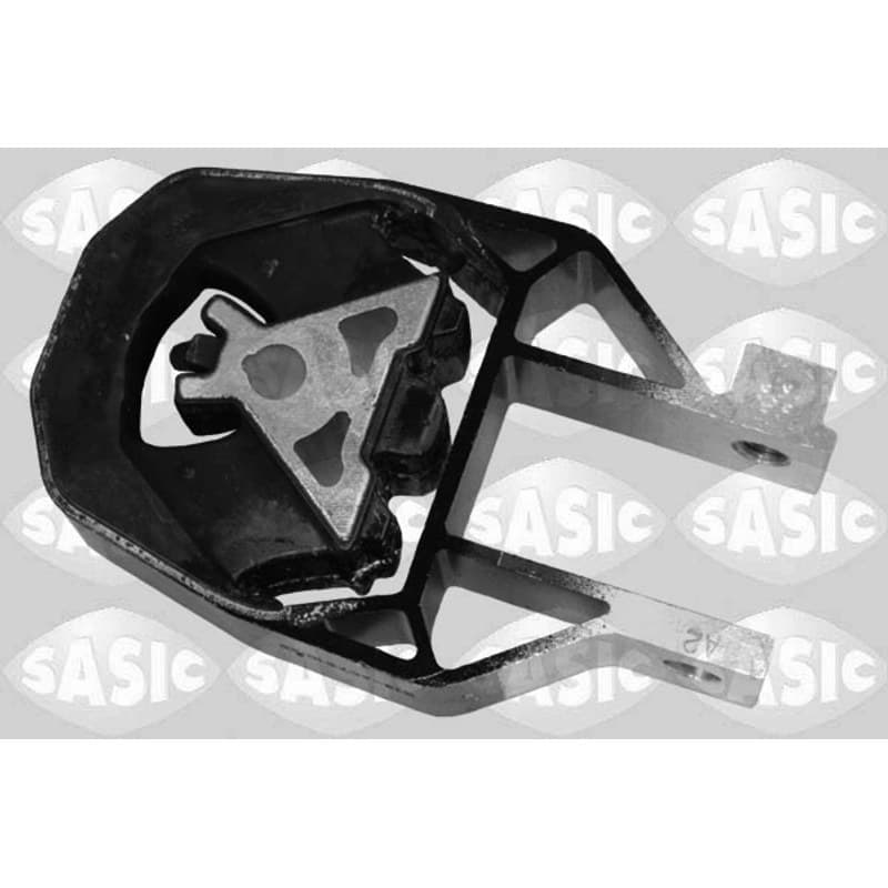 SASIC variklio montavimas 2706267
