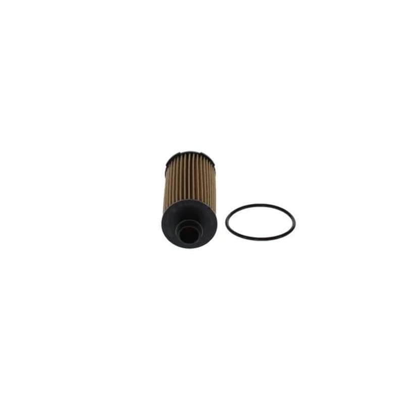 BOSCH F 026 407 305 alyvos filtras