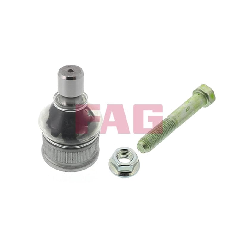 SCHAEFFLERFAG Šarnyras / girgždukas 825 0246 10