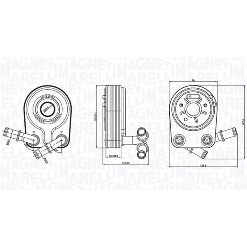 MAGNETIMARELLI alyvos aušintuvas, variklio alyva 350300000100
