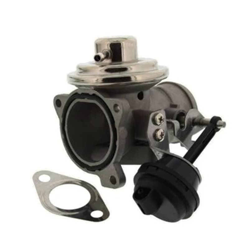 MAGNETIMARELLI ERG vožtuvas 571822112046