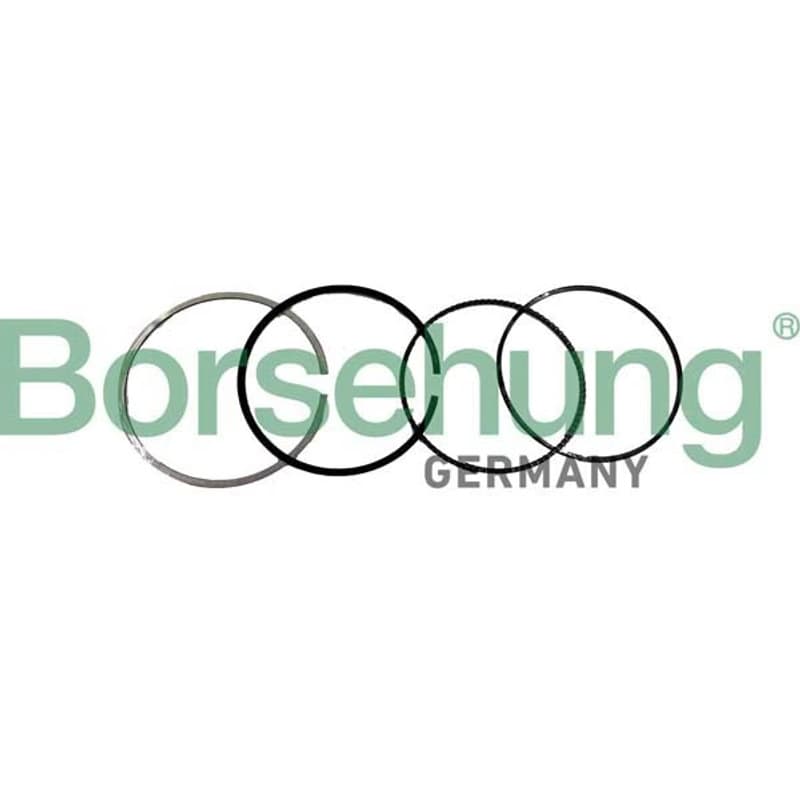 BORSEHUNG stūmoklio žiedų komplektas B10371