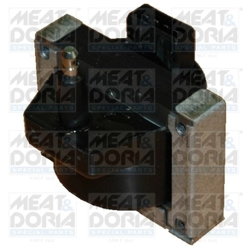 MEATDORIA ritė, uždegimas 10348