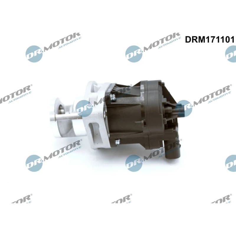 DRMOTORAUTOMOTIVE ERG vožtuvas DRM171101